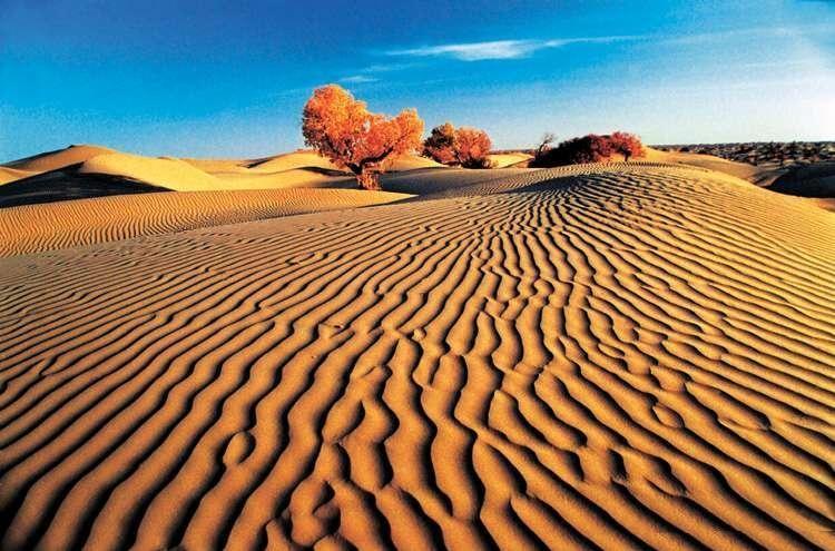 塔克拉玛干沙漠